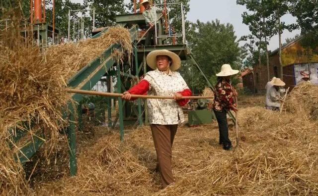 小型秸稈顆粒機對環境效益的影響 小型秸稈顆粒機對環境效益的影響