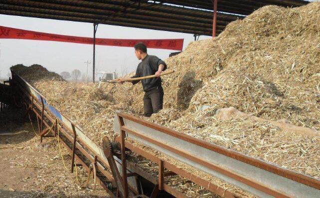 農作物秸稈綜合利用