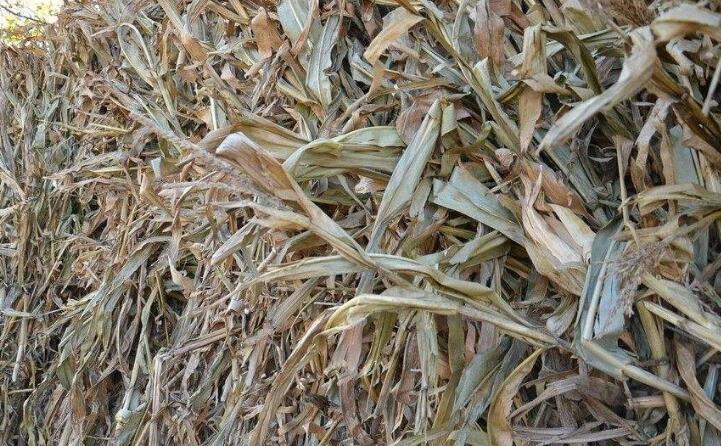 小型秸稈顆粒機(jī)原材料 小型秸稈顆粒機(jī)原材料