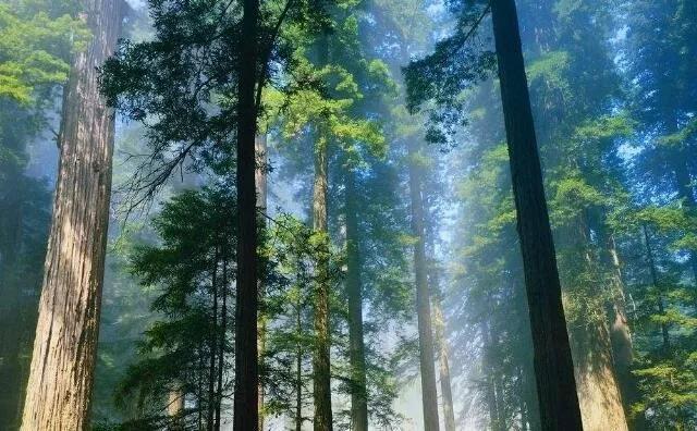 玉米秸稈燃料常見(jiàn)四大誤區(qū)，你知道嗎？