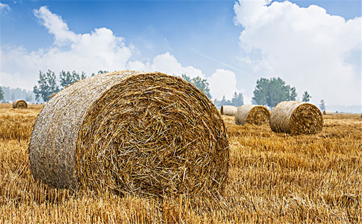 每一臺穩定可靠的玉米秸稈顆粒機背后,是一個優秀負責任的顆粒機廠家! 每一臺穩定可靠的玉米秸稈顆粒機背后,是一個優秀負責任的顆粒機廠家!