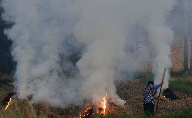 農民焚燒秸稈