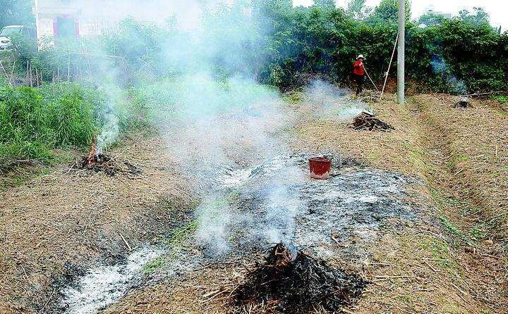 農民露天焚燒秸稈
