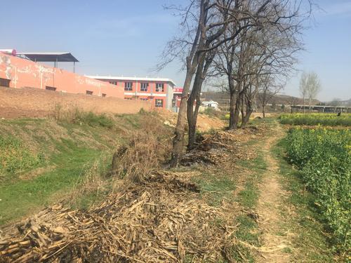 秸稈生物質資源 秸稈生物質資源