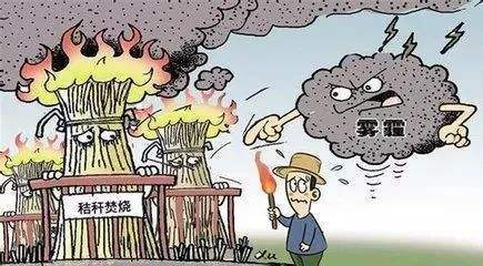 秸稈焚燒產生危害