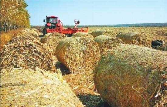 秸稈綜合利用