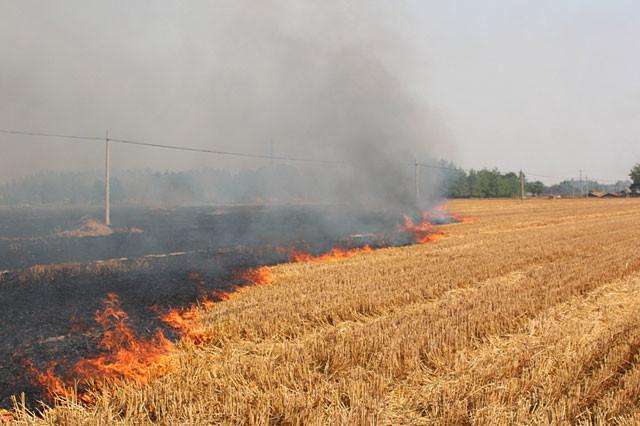 秸稈焚燒污染環境百害無一利