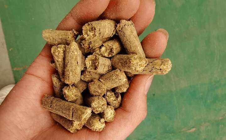 秸稈飼料顆粒機提高秸稈利用率,飼料顆粒機是以玉米、豆粕、秸稈、草、稻殼等為原料,通過粉碎原料后直接壓制成顆粒的飼料加工機械。 秸稈飼料顆粒機提高秸稈利用率,飼料顆粒機是以玉米、豆粕、秸稈、草、稻殼等為原料,通過粉碎原料后直接壓制成顆粒的飼料加工機械。