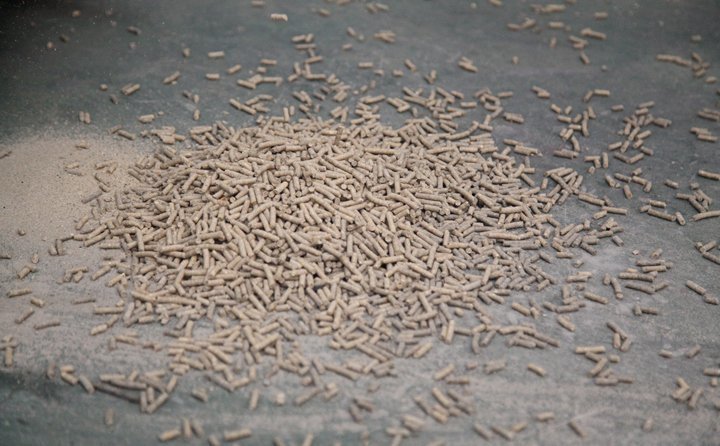 秸稈制粒機加工的生物質燃料顆粒