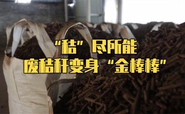 秸稈制粒機制粒處理 秸稈制粒機制粒處理