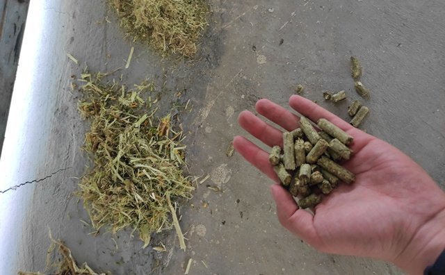 檸條顆粒機生物質燃料 檸條顆粒機生物質燃料