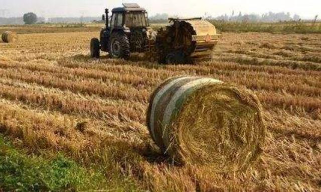 海南農作物秸稈