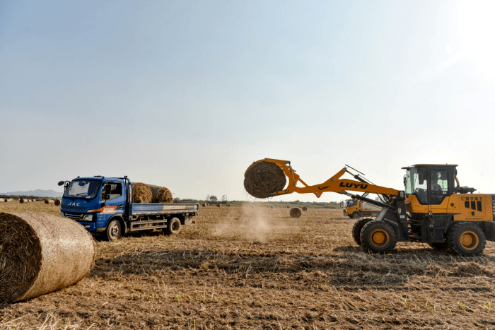 正陽(yáng)縣秸稈綜合利用讓“包袱”變財(cái)富