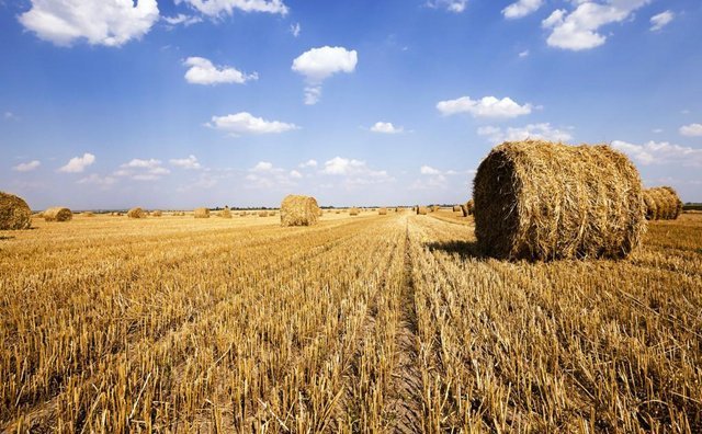 夏石鎮：秸稈回收再利用 增收環保兩不誤