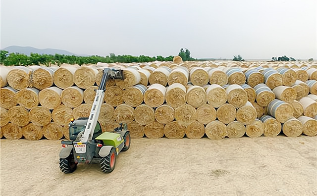 湖南省臨武縣：“秸”盡所能推進秸稈利用