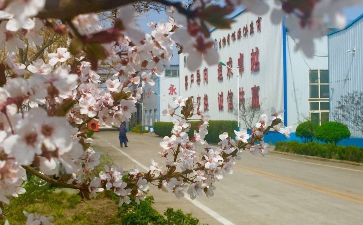 山東金格瑞的廠區一角美景
